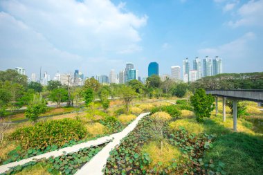 Benjakitti Orman Parkı, Bangkok 'un orta kesiminde Tayland' da yeni bir parktır..