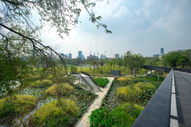 Benjakitti Orman Parkı, Bangkok 'un orta kesiminde Tayland' da yeni bir parktır..