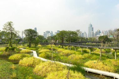 Benjakitti Orman Parkı, Bangkok 'un orta kesiminde Tayland' da yeni bir parktır..