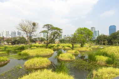 Benjakitti Orman Parkı, Bangkok 'un orta kesiminde Tayland' da yeni bir parktır..