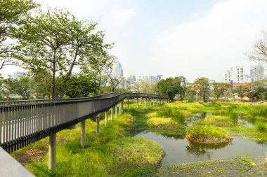 Benjakitti Forest Park, is new landmark public park of central Bangkok in Bangkok, Thailand. clipart