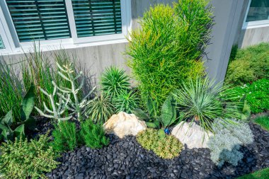 Bahçe tasarımı ve sulu bitkiler.