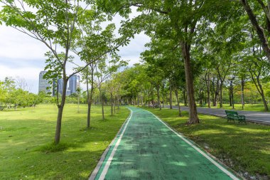 Bisiklet şeritli Park