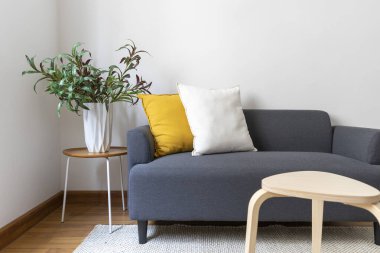 Rahat kanepe, koltuk ve bitkilerle dolu şık bir oturma odası.