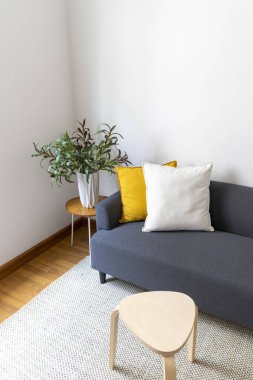 Kanepe ve yastıklı modern oturma odası