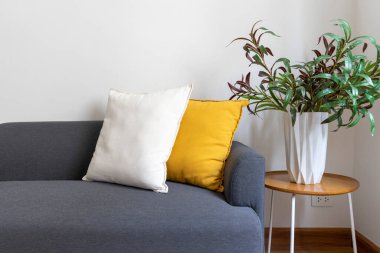 Kanepeli modern odanın iç tasarımı