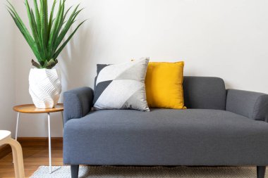 Rahat kanepe ve bitkilerle dolu şık bir oturma odası.