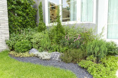 Güzel yeşil çimenli bahçe