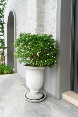 Beyaz duvar arkaplanı olan taştan ev.,