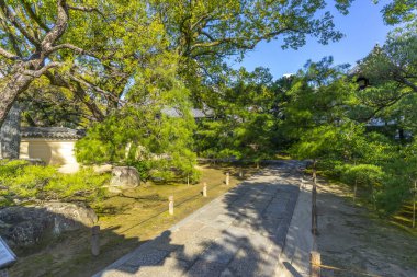 Parkın güzel manzarası