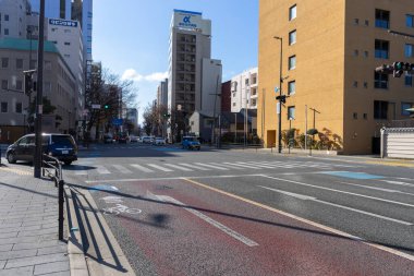 Tokyo, Japonya Kasım 2, 7, 2, 2, 1 8 Kimliği belirsiz ve Eno Park 'ta yürüyor..