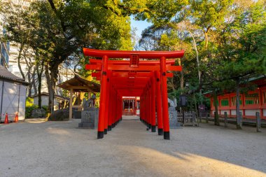Kyoto, Japonya - Kasım 13, 2 0 0 7: Shimi inari torii, Kyoto 'nun kırmızı kapısı.