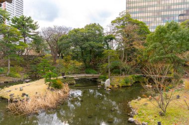 Tokyo, Japonya Kasım 27110 Kimliği belirsiz bir çok kişi yürüyor, ueno parkı ve insanlar bahçedeki sonbahar ağacı.
