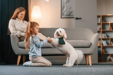 Kadın elinde kitapla kanepede yatıyor. Anne ve kızı evde Malta köpeğiyle birlikte..