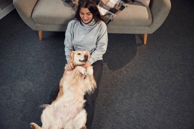 Üst Manzara. Hayvan yerde yatıyor, mutlu. Kadın Golden Retriever köpeğiyle evde..