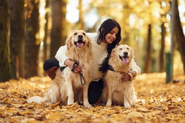Yerde oturup, hayvanları kucaklamak gibi. Sonbahar ormanında iki köpeğiyle yürüyüşe çıkmış bir kadın..