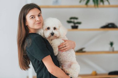 Bakım kavramı. Şirin küçük köpek bakım stüdyosunda..