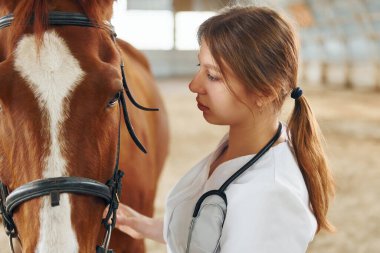 Veterinerlik kavramı. Beyaz önlüklü kadın doktor ahırda atıyla birlikte..