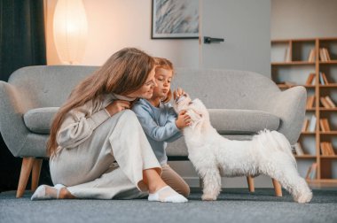 Hayvana tatlı yemek vermek. Anne ve kızı evde Malta köpeğiyle birlikte..