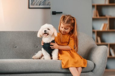 Neşeli küçük kız, Malta 'lı köpekle kanepede, evcil odada..