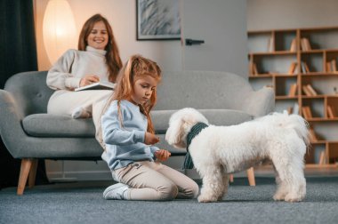 Hayvana tatlı yemek vermek. Anne ve kızı evde Malta köpeğiyle birlikte..