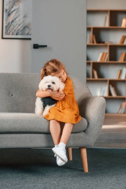 Küçük kız evde Malta köpeğiyle birlikte..