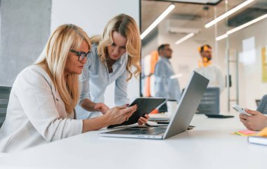 Proje üzerinde çalışıyorum. Profesyonel iş adamlarından oluşan bir grup ofiste..