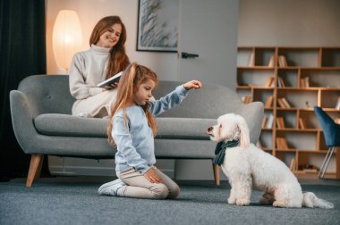 Hayvana tatlı yemek vermek. Anne ve kızı evde Malta köpeğiyle birlikte..