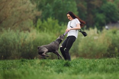 Aktif hafta sonu harcamaları. Genç esmer kız köpeğiyle dışarıda yürüyüş yapıyor..