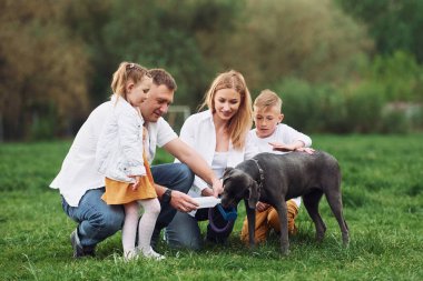 Köpekle yürü. Aile yazın birlikte hafta sonlarını dışarıda geçirir..