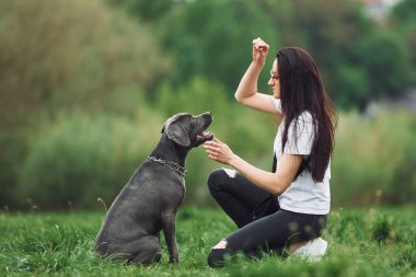 Numaraları öğrenip ikramda bulunuyorum. Genç esmer kız köpeğiyle dışarıda yürüyüş yapıyor..