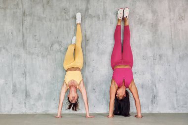 Duvara yaslanarak ellerin üzerinde durmak. Spor elbiseli güzel kadınlar stüdyoda..