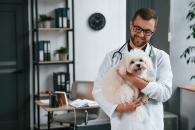 Gözlüklü. Beyaz önlüklü doktor ayakta ve Malta köpeğini elinde tutuyor. Klinikte..