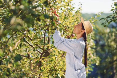Elma ağacının yanında. Genç, neşeli kadın gündüz vakti bahçede..