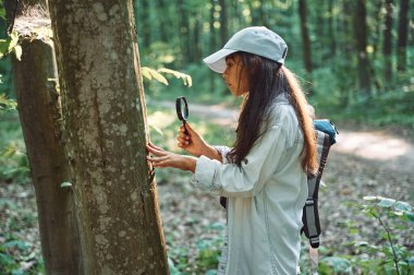 Büyüteçle. Kız yaz günü ormanda yeni yerler keşfediyor..