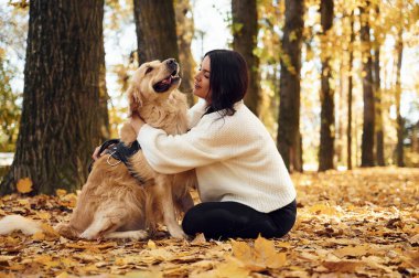 Hayvanı kucaklamak. Gündüz vakti bir kadın köpeğiyle birlikte güz ormanında yürüyüşe çıkıyor..