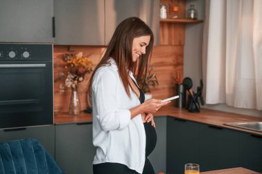 Akıllı telefon kullanıyor. Güzel hamile kadın evde..