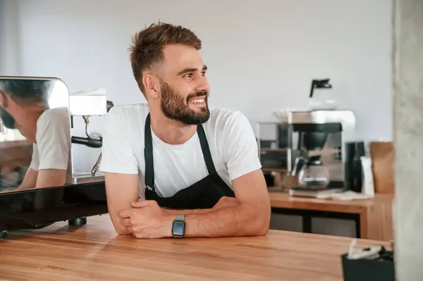 stock image Beautiful portrait. Cafe worker in white shirt and black apron is indoors.