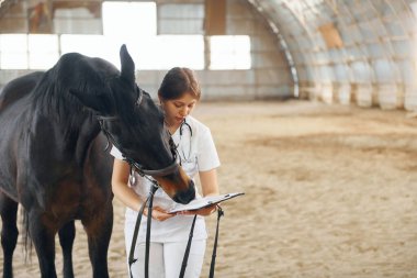 Kontrol sonuçlarıyla birlikte not defteri tutuluyor. Beyaz önlüklü kadın doktor ahırda atıyla birlikte..