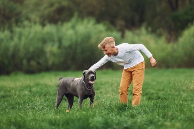 Küçük çocuk yaz vakti köpeğiyle dışarıda yürüyüş yaparken eğleniyor..