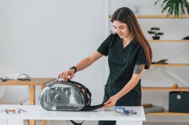 Evcil hayvan taşıyıcısında. Küçük şirin tavşan tımar stüdyosunda..