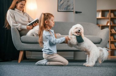 Kız evcil hayvanı pençeleriyle tutuyor. Anne ve kızı evde Malta köpeğiyle birlikte..