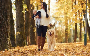 Bebek ve köpekle anne sonbahar parkında yürüyüş yapıyor..