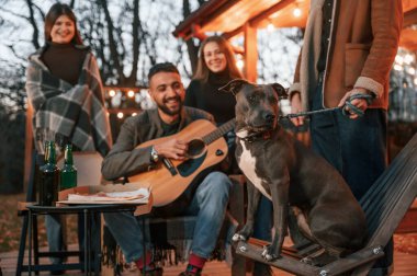 Gitar çalan adam, sandalyede oturan köpek. Bir grup insan akşamları arka bahçede birlikte vakit geçiriyorlar..