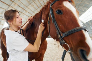 Steteskop kullanarak dinleyerek. Beyaz önlüklü kadın doktor ahırda atıyla birlikte..
