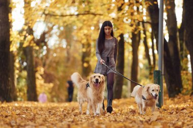 Genç bir kadın sonbahar ormanında iki köpeğiyle yürüyüşe çıktı..