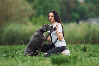 Numaraları öğrenip ikramda bulunuyorum. Genç esmer kız köpeğiyle dışarıda yürüyüş yapıyor..