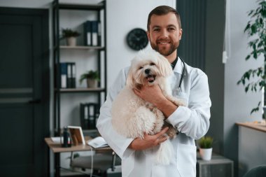 Beyaz önlüklü doktor ayakta ve Malta köpeğini elinde tutuyor. Klinikte..