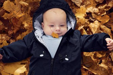 Üst Manzara. Sevimli küçük bebek yere düşmüş yapraklarla uzanıyor..