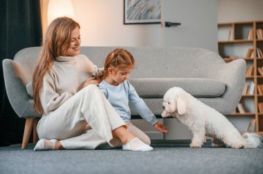 Tatlıları kız veriyor. Anne ve kızı evde Malta köpeğiyle birlikte..